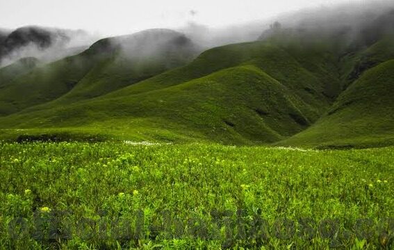 麻豆传媒夏滢-麻豆传媒的绮丽风景——夏滢的艺术蜕变