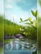 糖心app兑换码免费-解锁甜蜜福利,免费获取糖心app兑换码全攻略